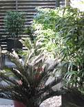 gardens